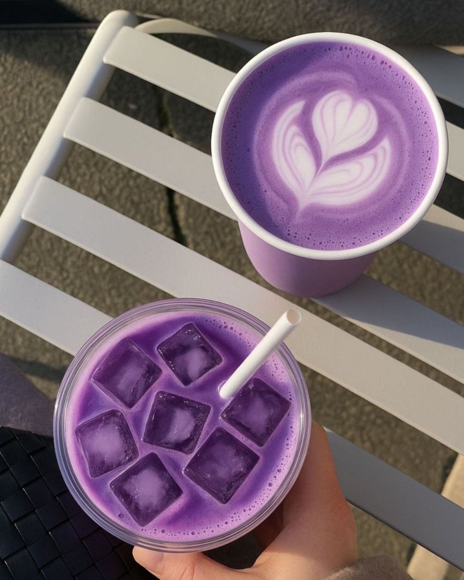 Boissons violettes